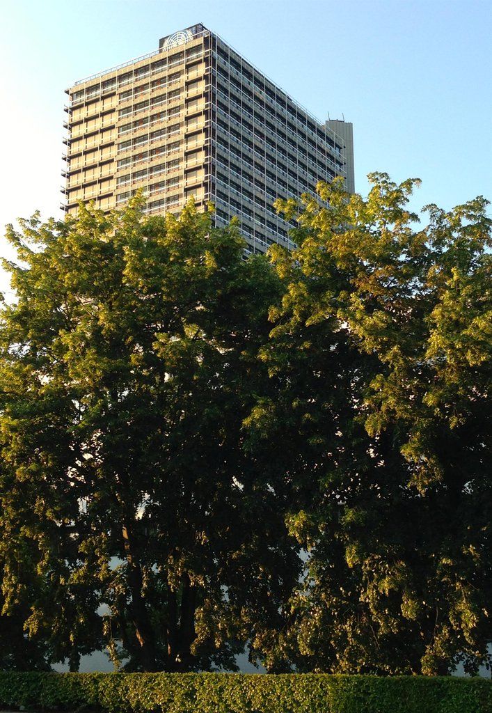 Hotel Am Hohenzollernplatz Bonn Exterior photo